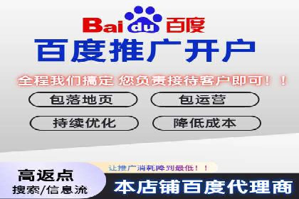 百度平台推广：成功案例解析与效果分析